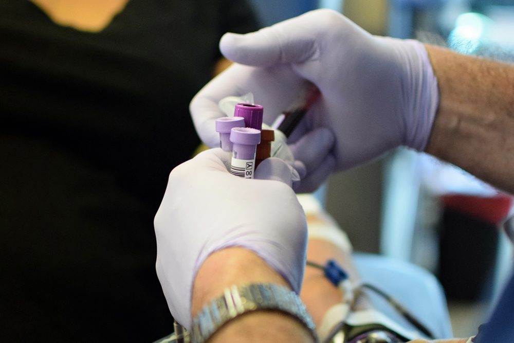 Blood donation (test tubes).JPG