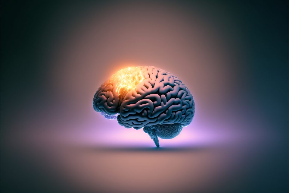 Idea Brain