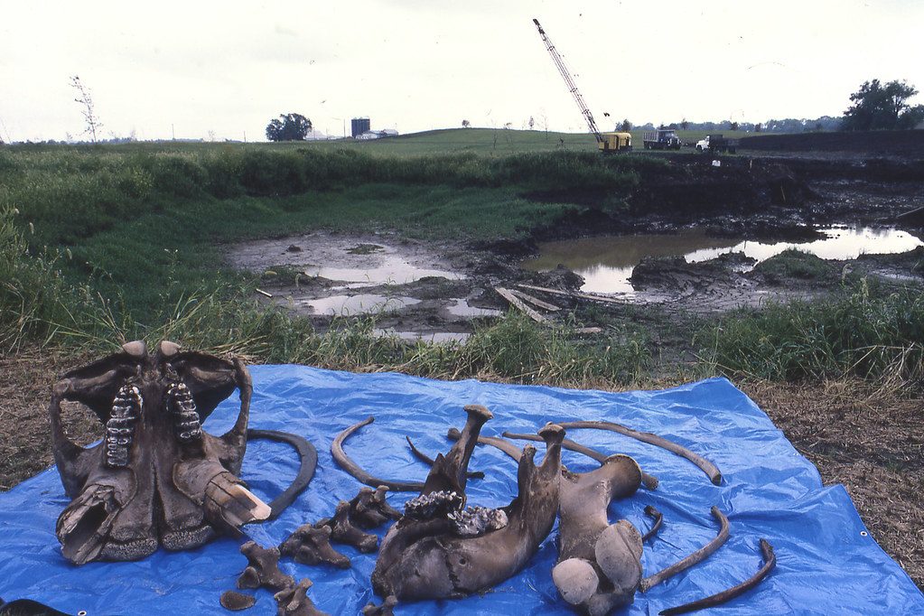 Burning Tree Mastodon excavation site, Burning Tree Golf Course, Heath, east-central Ohio 2