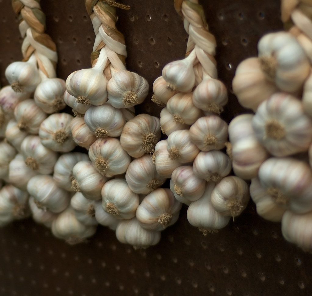 Artsy Garlic Braids