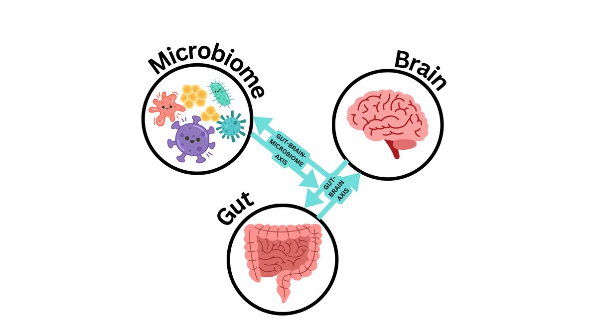 Gut-brain-microbiome axis